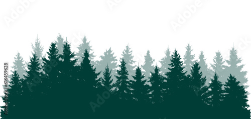 Forest background, beautiful landscape wallpaper. Silhouettes of fir trees. Vector illustration