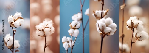 cotton branch vertical background collection set, Generative Ai