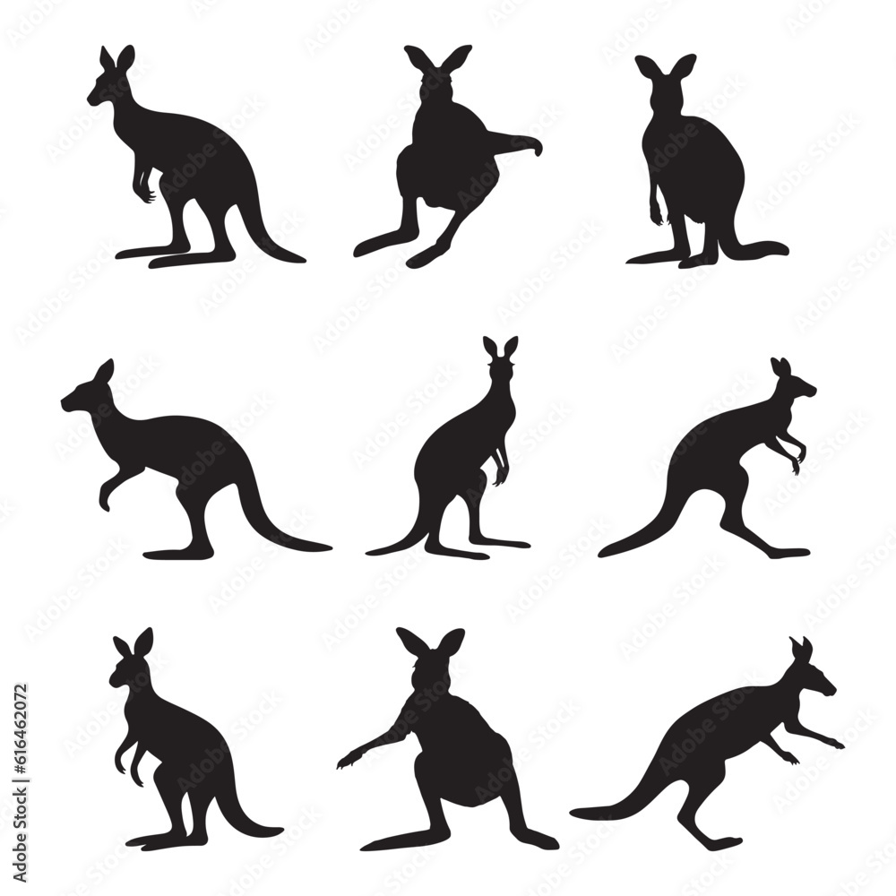 Kangaroo silhouette set - isolated vector images of wild animals Kangaroo silhouette set - isolated vector images of wild animals