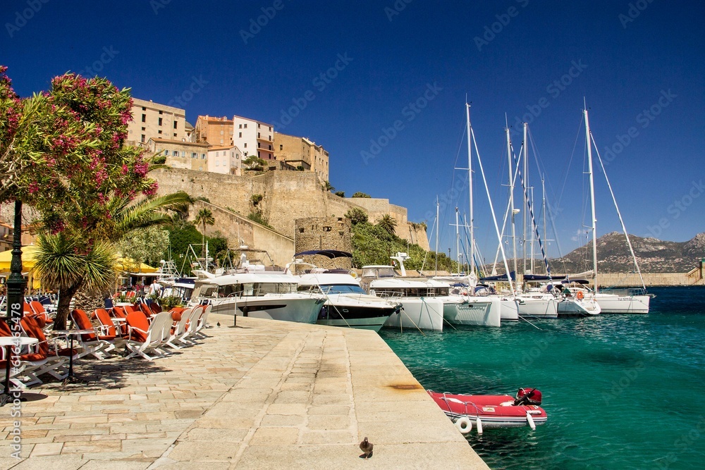 Calvi