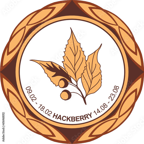 Celtic astrological horoscope. Druid tree calendar. Hackberry: from February 9 to February 18 and from August 14 to August 23. Decorative dishes. Ancient runes