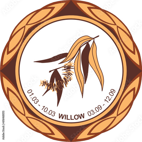 Celtic astrological horoscope. Druid tree calendar. Willow: from March 1 to March 10 and from September 3 to September 12. Decorative painting. Ancient runes