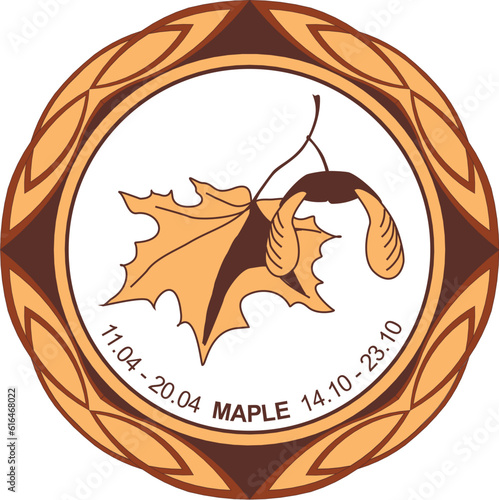 Celtic astrological horoscope. Druid tree calendar. Maple: from April 11 to April 20 and from October 14 to October 23. Decorative painting. Ancient runes