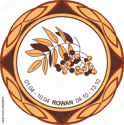 Celtic astrological horoscope. Druid tree calendar. Rowan: from April 1 to April 10 and from October 4 to October 13. Decorative painting. Ancient runes