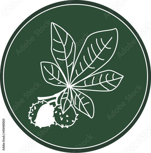 White logo branches chestnut on a dark green background. Celtic astrological calendar of the druids. Tree symbol in a circle. Horse chestnut. For natural topics. Chalk drawing on blackboard