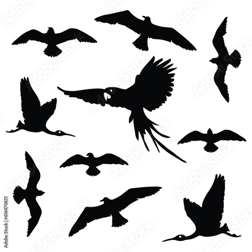birds flaying silhouette collection.
