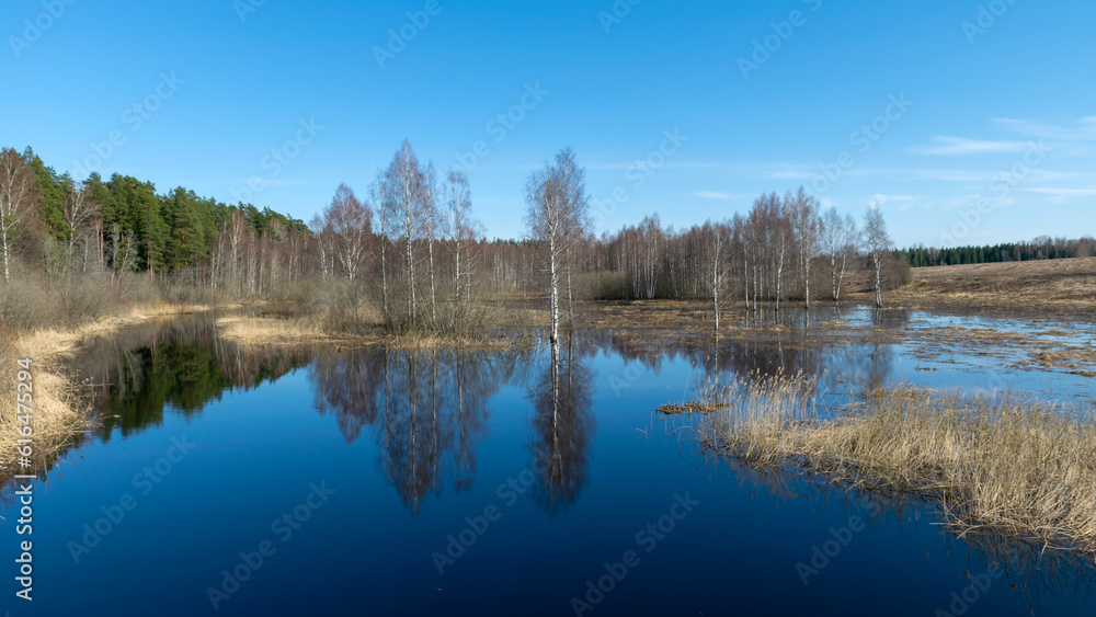 Fototapeta premium spring landscape with trees, beautiful sky, overflowing river