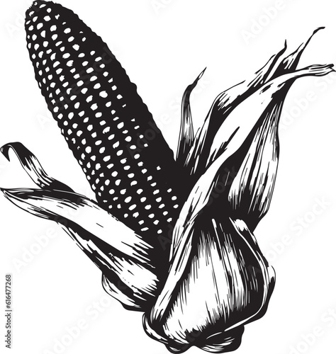 Ear of Corn hand-drawn, agriculture vector illustration, SVG