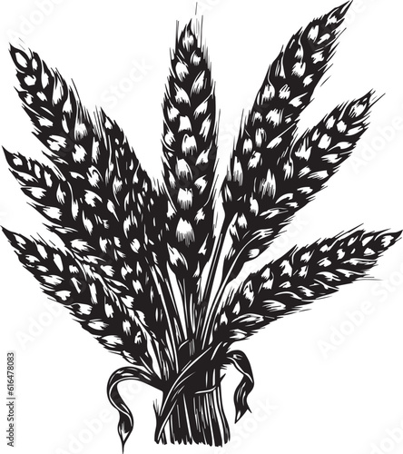 Ears of wheat hand-drawn, agriculture vector illustration, SVG