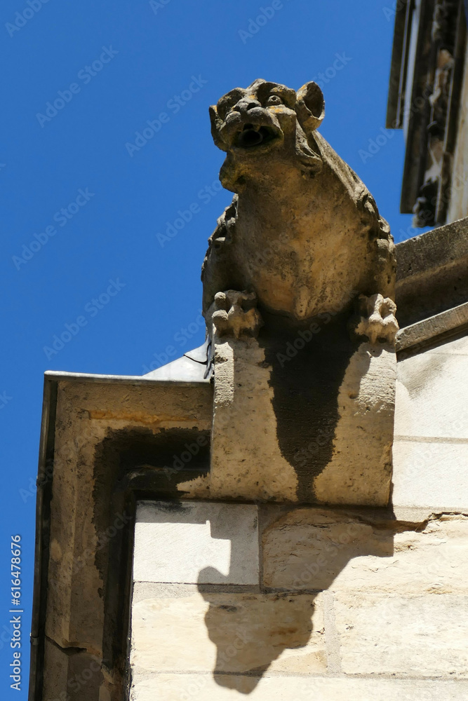 Gargouille de la cathédrale Saint-Cyr-et-Sainte-Julitte à Nevers