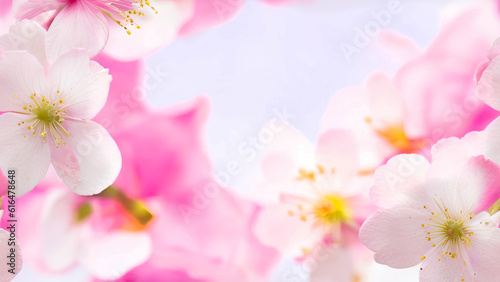 Cherry blossom background, Blurred pastel pink tone, there is an area for text in the corners of the picture. Generative AI.