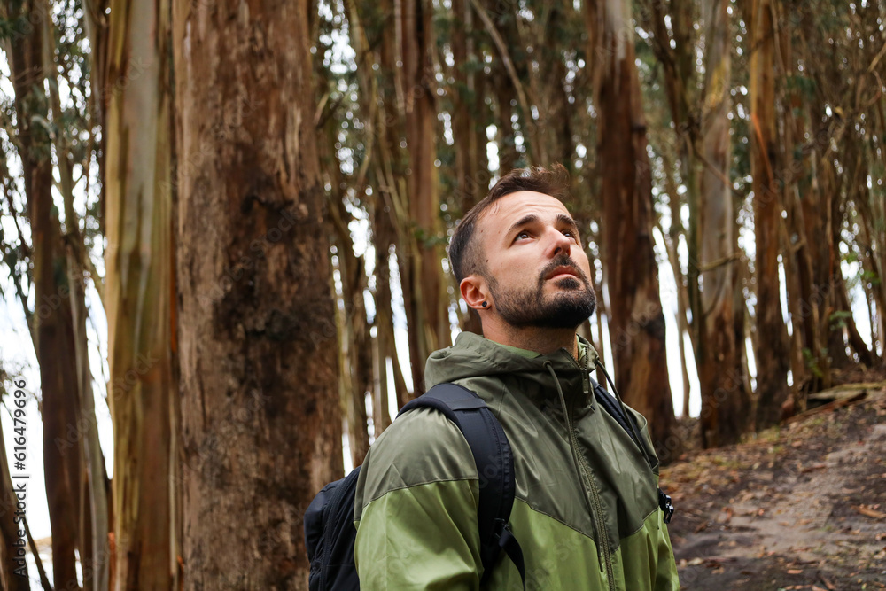 man in the forest man in the forest