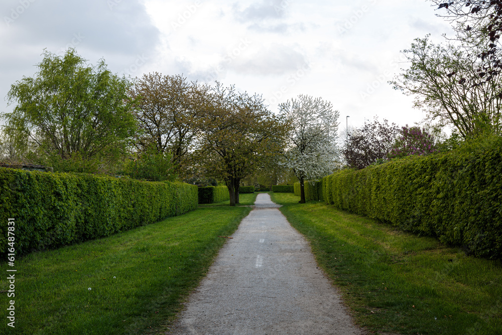 Footpath in park with trees and plants in spring