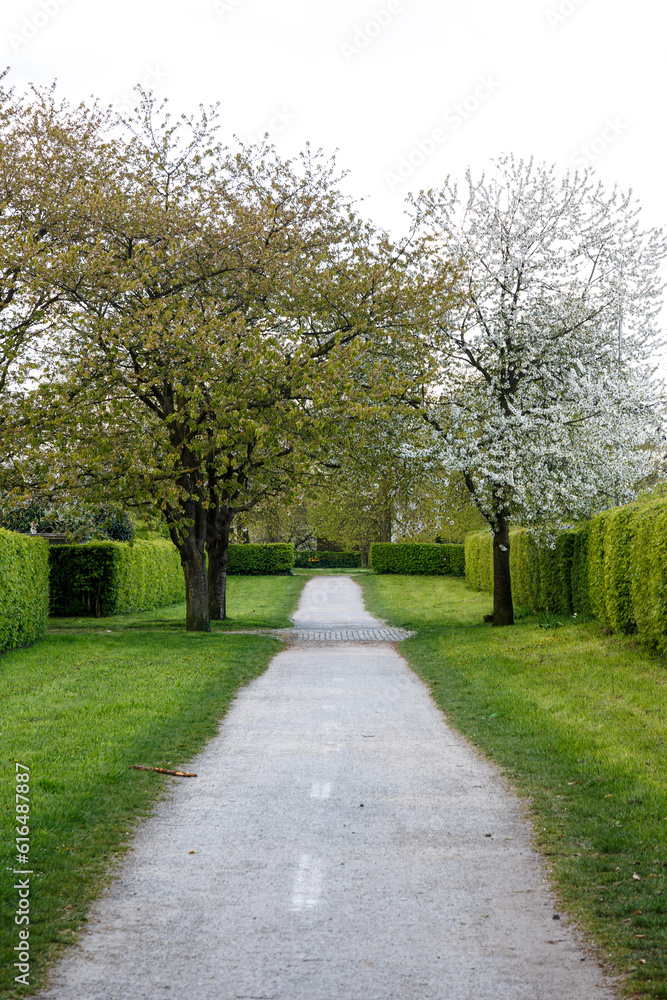 Footpath in park with trees and plants in spring Footpath in park with trees and plants in spring
