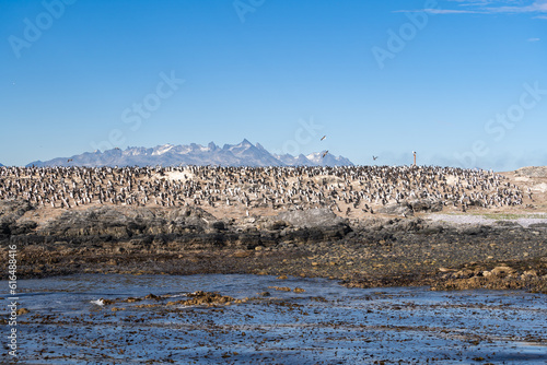 Isla de los Pájaros Ushuaia, desde el Canal de Beagle.