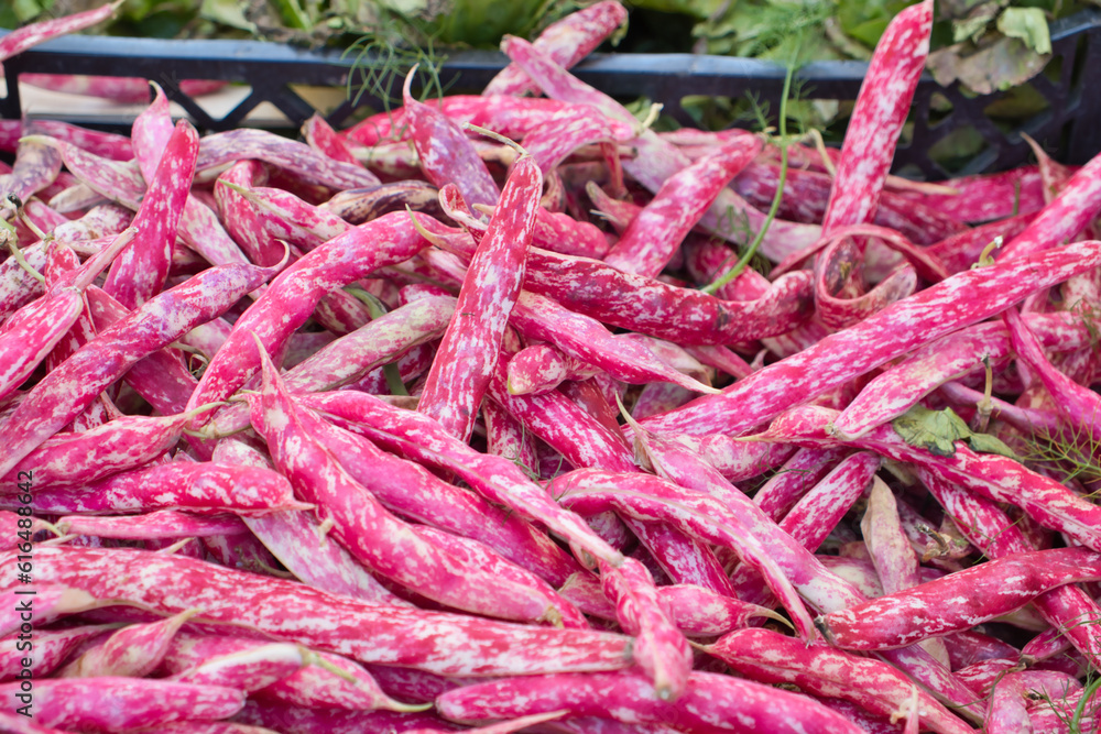 fresh Borlotti beans at a market in Sicily, southern Italy