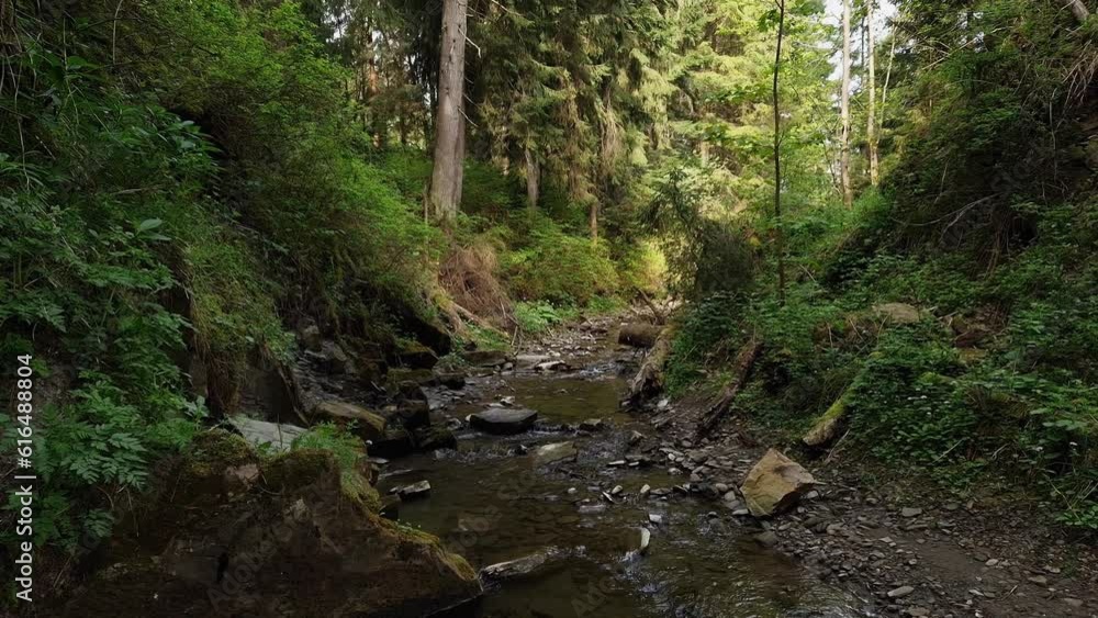 Mountain stream in forest at spring morning in Carpathians Mountain stream in forest at spring morning in Carpathians