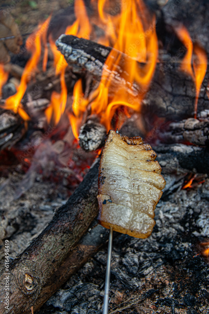 bacon roasted on bonfire flame in garden. bacon roasted on bonfire flame in garden.
