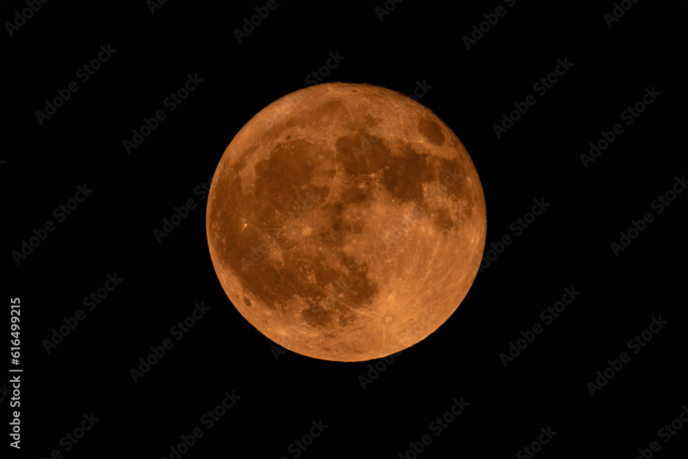 Fototapeta premium full moon in the night