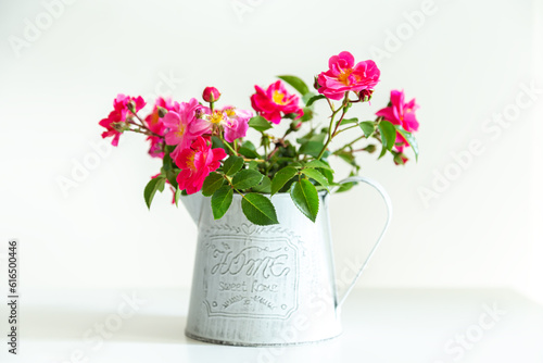 Wallpaper Mural Rosehip flowers in a watering can. Torontodigital.ca