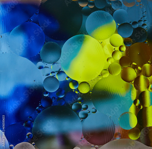Abstract background with vibrant colors. Experiment with oil drops on water. Close up artful and colorful bubbles. Space pattern.