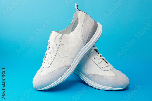Pair of fashionable stylish casual shoes. Creative minimalistic layout with sneakers. Mock up for design or baner. Ad for footwear store.