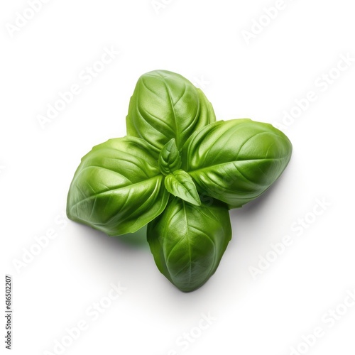 Basil leaf isolated on white background. Generative AI