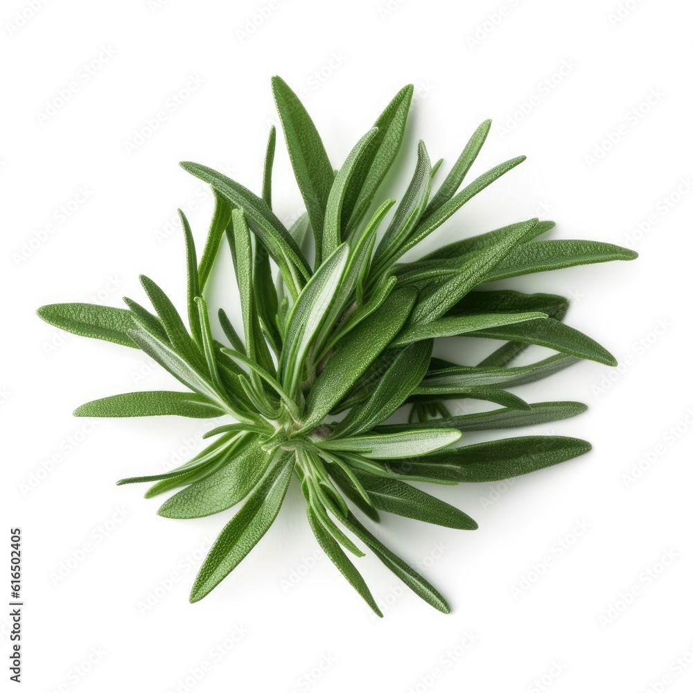 Fototapeta premium Tarragon leaf isolated on white background. Generative AI