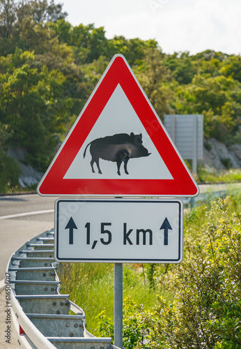 Traffic accident on the background of a sign - watch out for wild boars crossing the road