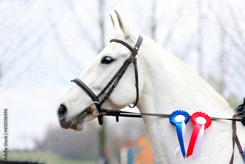 Fototapeta Naklejka Na Ścianę i Meble -  Equestrian sports and victory. Riding a horse. Equestrian background.