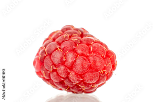 One sweet raspberry berry, macro, isolated on white background.