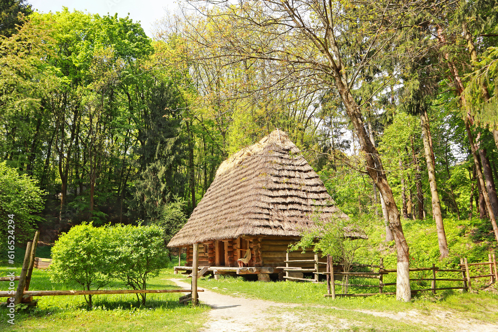 Wooden house with a thatched roof in skansen Museum of Folk Architecture and Life 