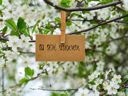 Piece of cardboard with the words I am Sorry on it hanging on a cherry tree branch with blossoms using a wooden clothespin.