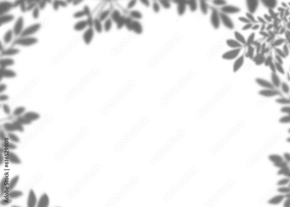 Leaves shadow overlay, isolated Tropical Branches leaves silhouette frame border Leaves shadow overlay, isolated Tropical Branches leaves silhouette frame border