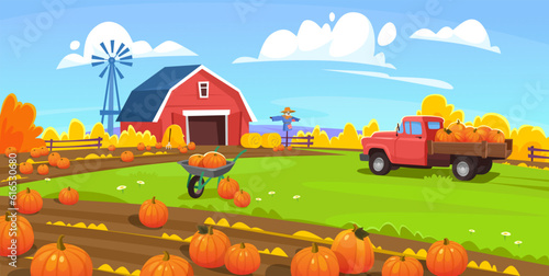 Vector background of the traditional pumpkin patch. Holiday pumpkin picking on a farm with a vintage truck  scarecrow  red barn  fence  and windmill. Landscape view of a field harvest in fall.