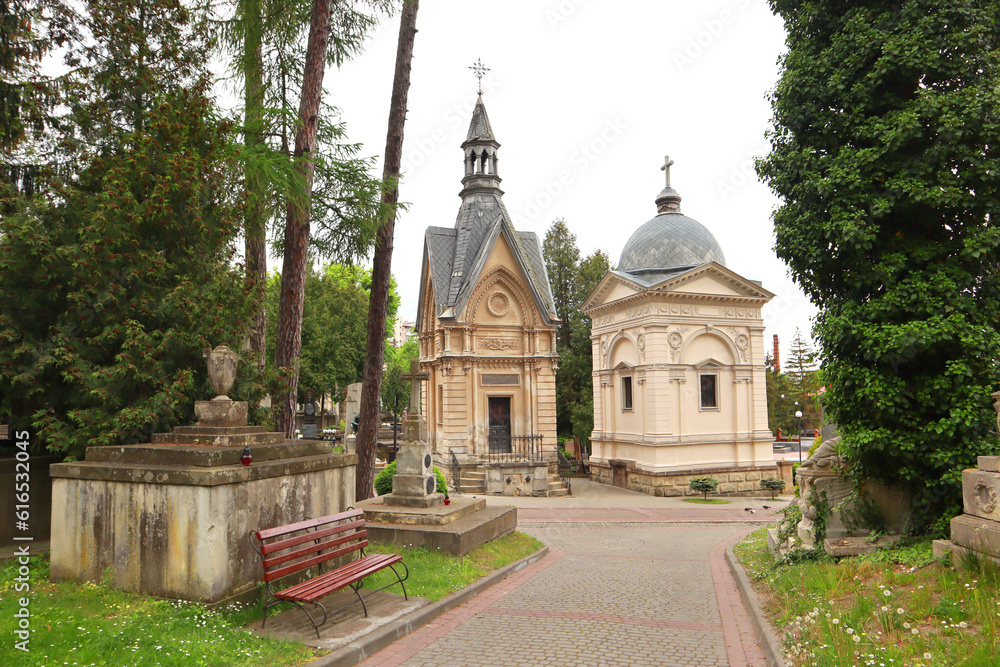  Ancient mausoleums (crypts) and tombstones at the famous Lychakiv Cemetery in Lviv, Ukraine