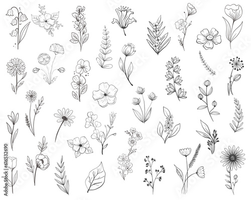 Wild Flower Illustrations Flower Vector Graphics Floral Illustration Vector Set Wild Flowers Leaf Leaves Friendship Love Holiday Birthday Collection Nature Transparent Isolated Illustrator EPS PNG SVG