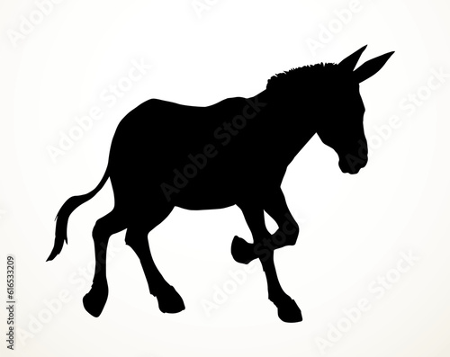 Vector drawing. Cute old mule