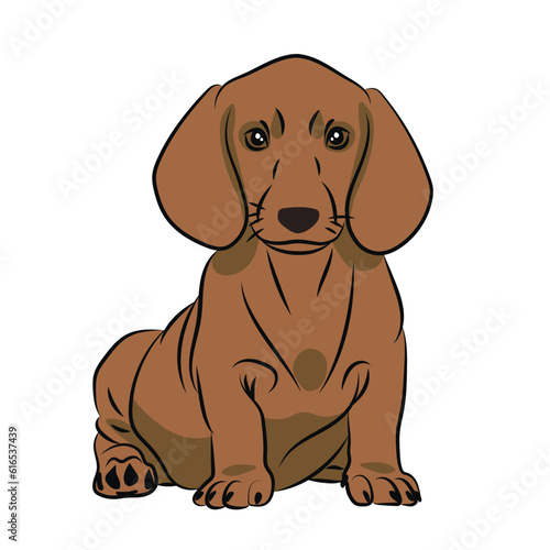 Dog Brown Orange Dachshund. Abstract  Line  Silhouettes  Illustration. Color and Shadows. Chinese Calendar 1958  1970  1982  1994  2006  2018  2030  2042  2054  2066 years.