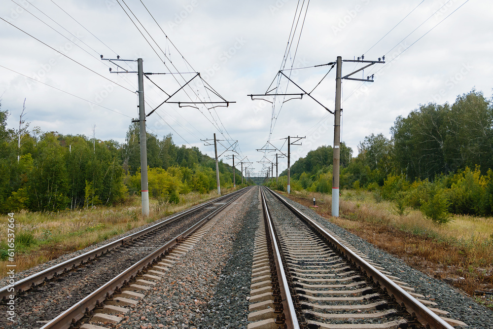 Two long and straight lines of railway rails with electric poles inside,