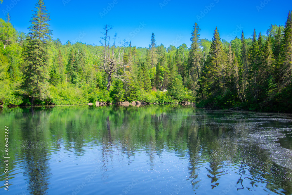 Fototapeta premium Beautiful and wild lake in the province of Quebec, Canada