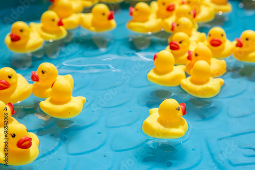 Rubber Ducks Facing away in Kiddie Pool © Stefanie