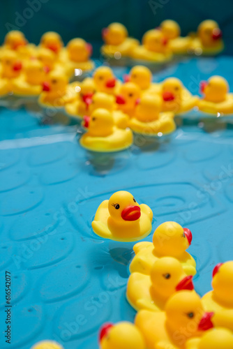 Rubber Duckies in Kiddie Pool © Stefanie