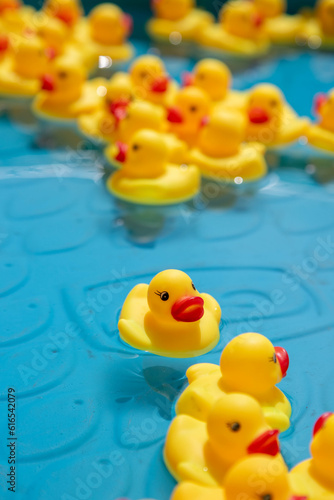 Rubber ducky group in pool, single in focus