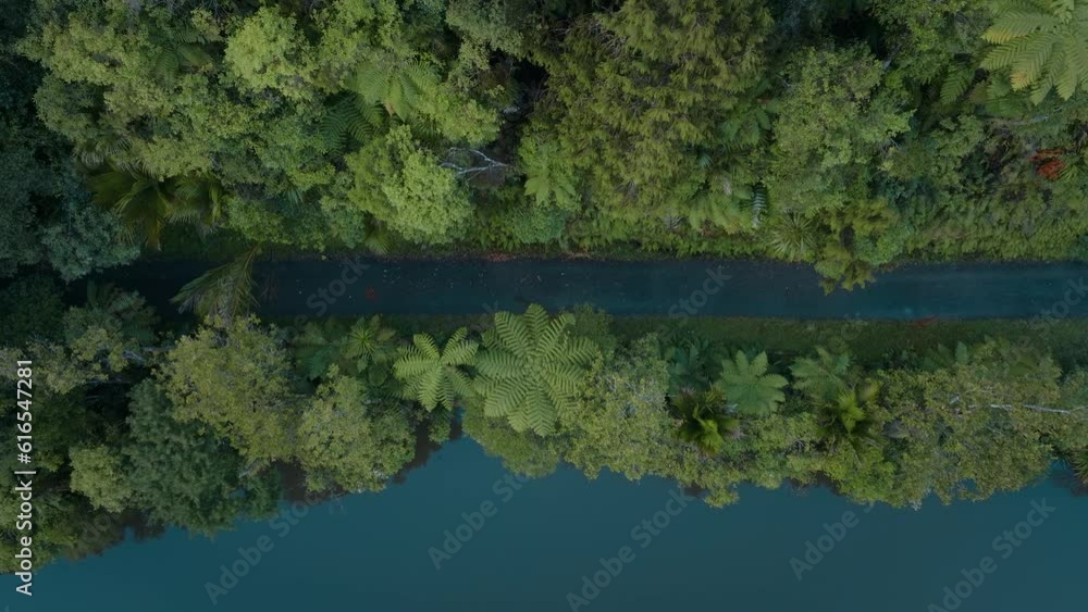 Aerial shot of lakeside pathway in New Zealand native rainforest Aerial shot of lakeside pathway in New Zealand native rainforest