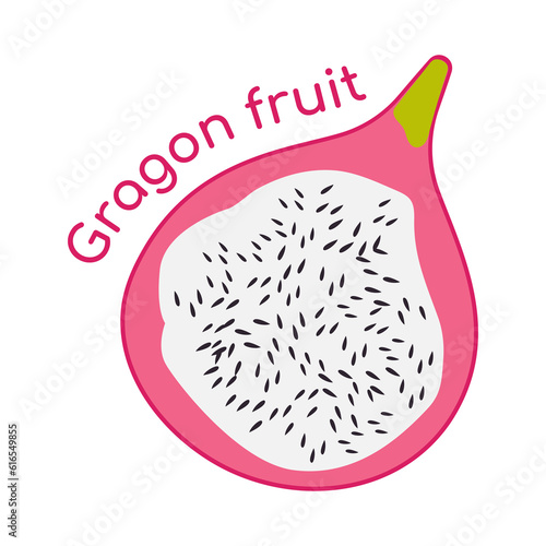 Dragon Fruit illustration. Half Pink Pitaya with sweet white flesh. Tropical exotic fruit of the harvest. Title text. Vegan low calorie food. Isolated. Vector illustration