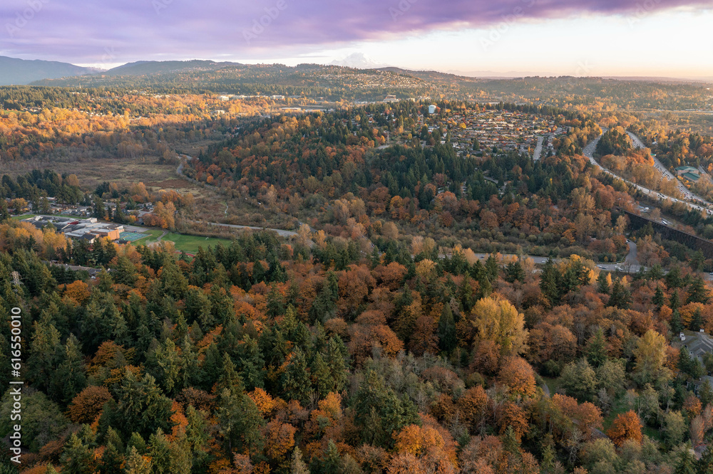 Bellevue Suburbs in the Fall