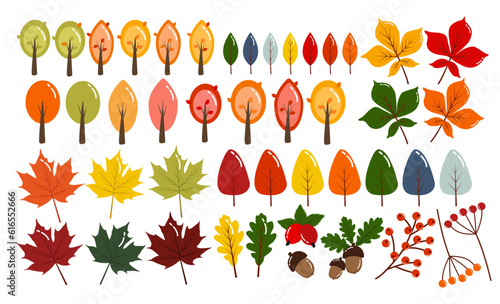 Big popular vector set autumn leaves collection isolated on white background. Colorful and bright cartoon style. Maple, oak, birch, rowan, poplar and chestnut tree leafб rose hip, dog-rose and acorns