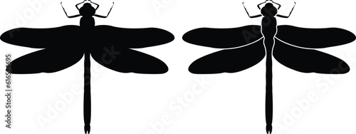 Dragonfly logo shape vector illustration.