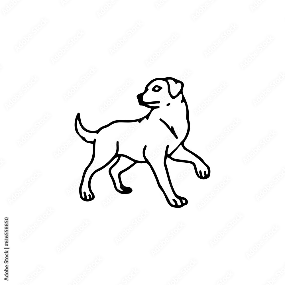 vector illustration of a dog walking